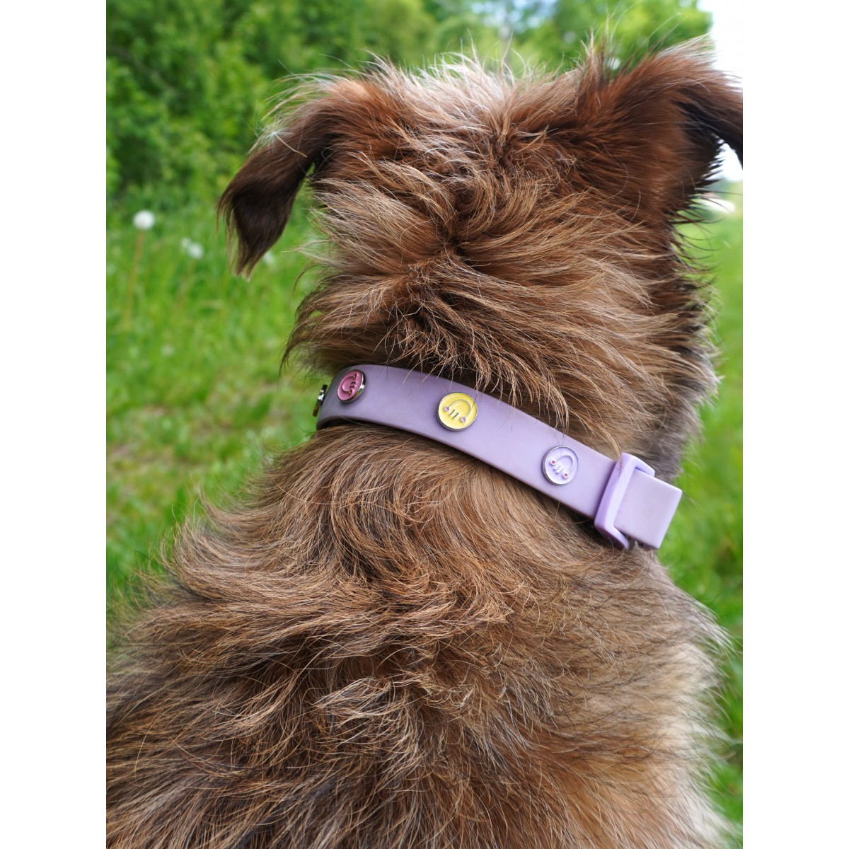 Happy Face Hundehalsband Anhänger - PawPopz