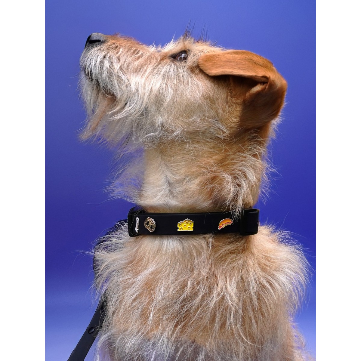 Hotdog Wurst Hundehalsband Anhänger - PawPopz