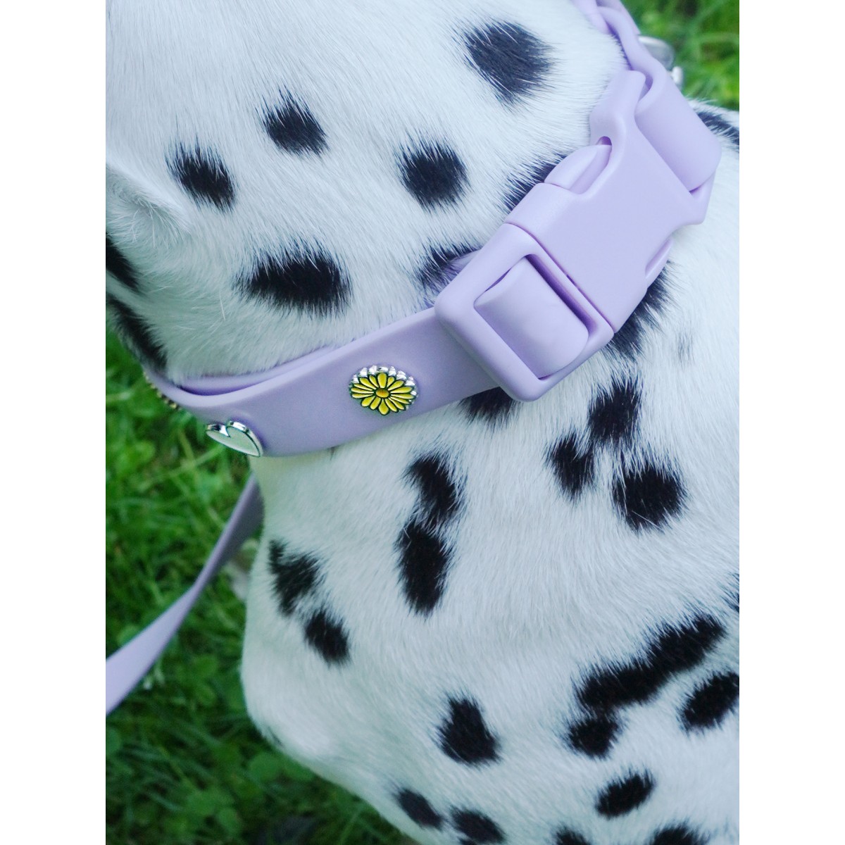 Blume Hundehalsband Anhänger - PawPopz