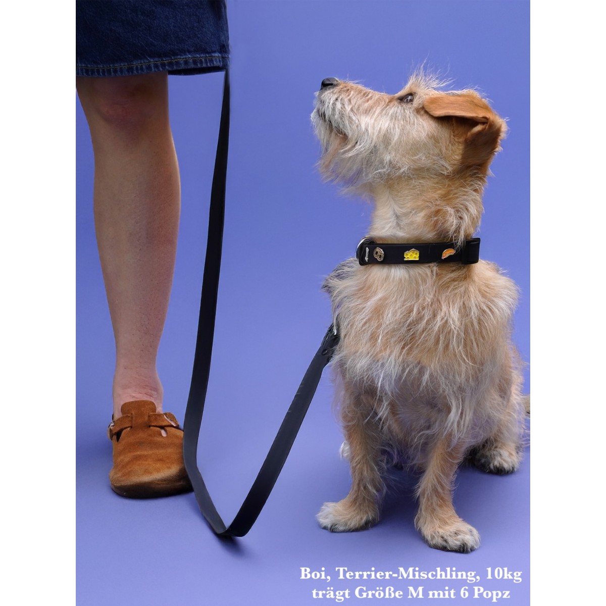 Hundeleine Outdoor wasserfest Schwarz - PawPopz