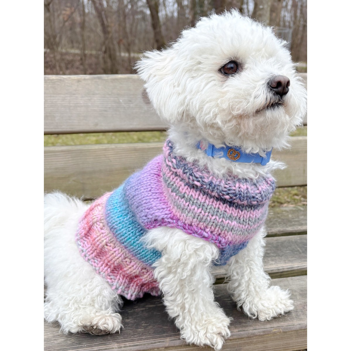 Breze Hundehalsband Anhänger - PawPopz