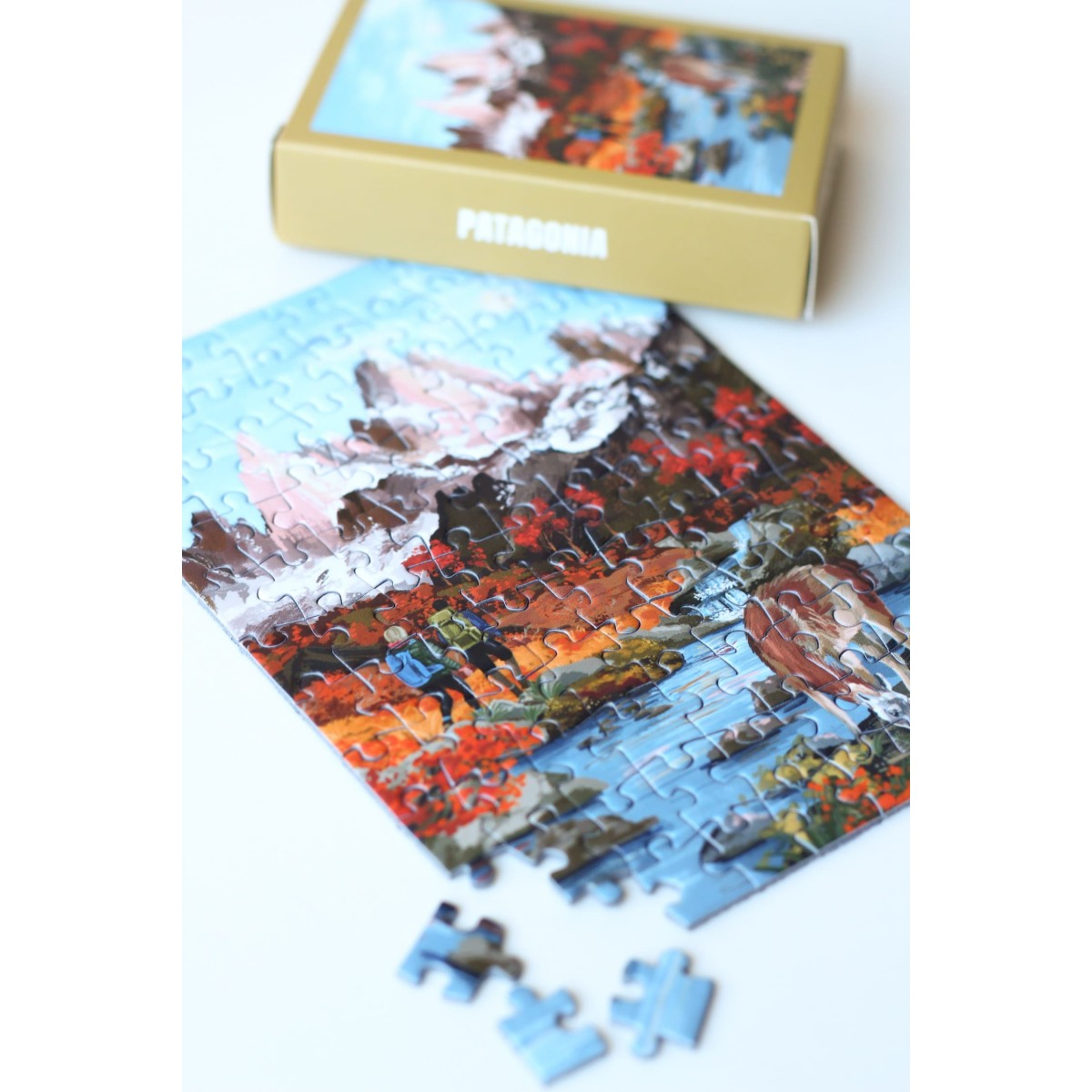 Piecely Patagonia Minipuzzle, 99 Teile