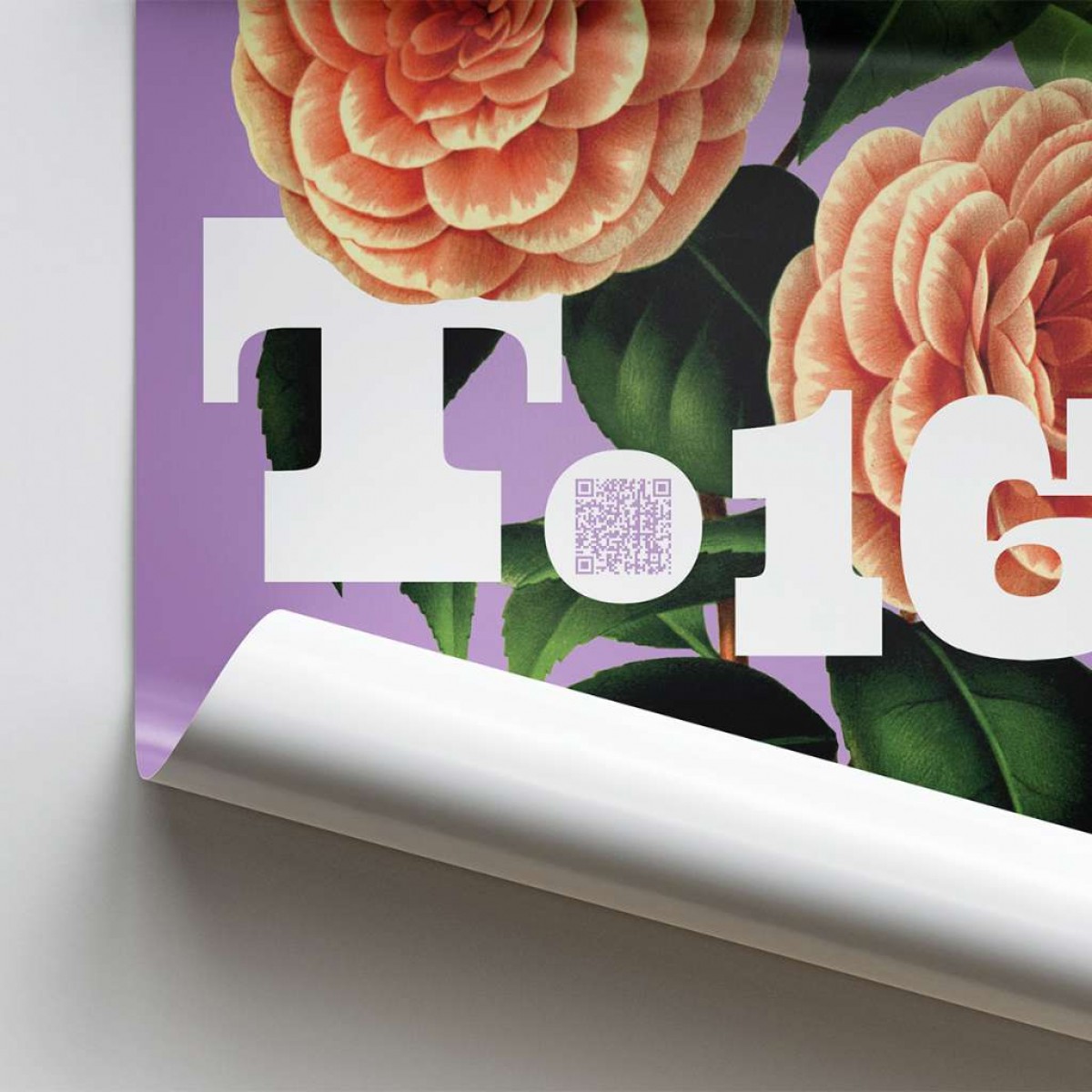 Grundrechte-Poster, Art. 16a Grundrechte-Poster, Art. 16a