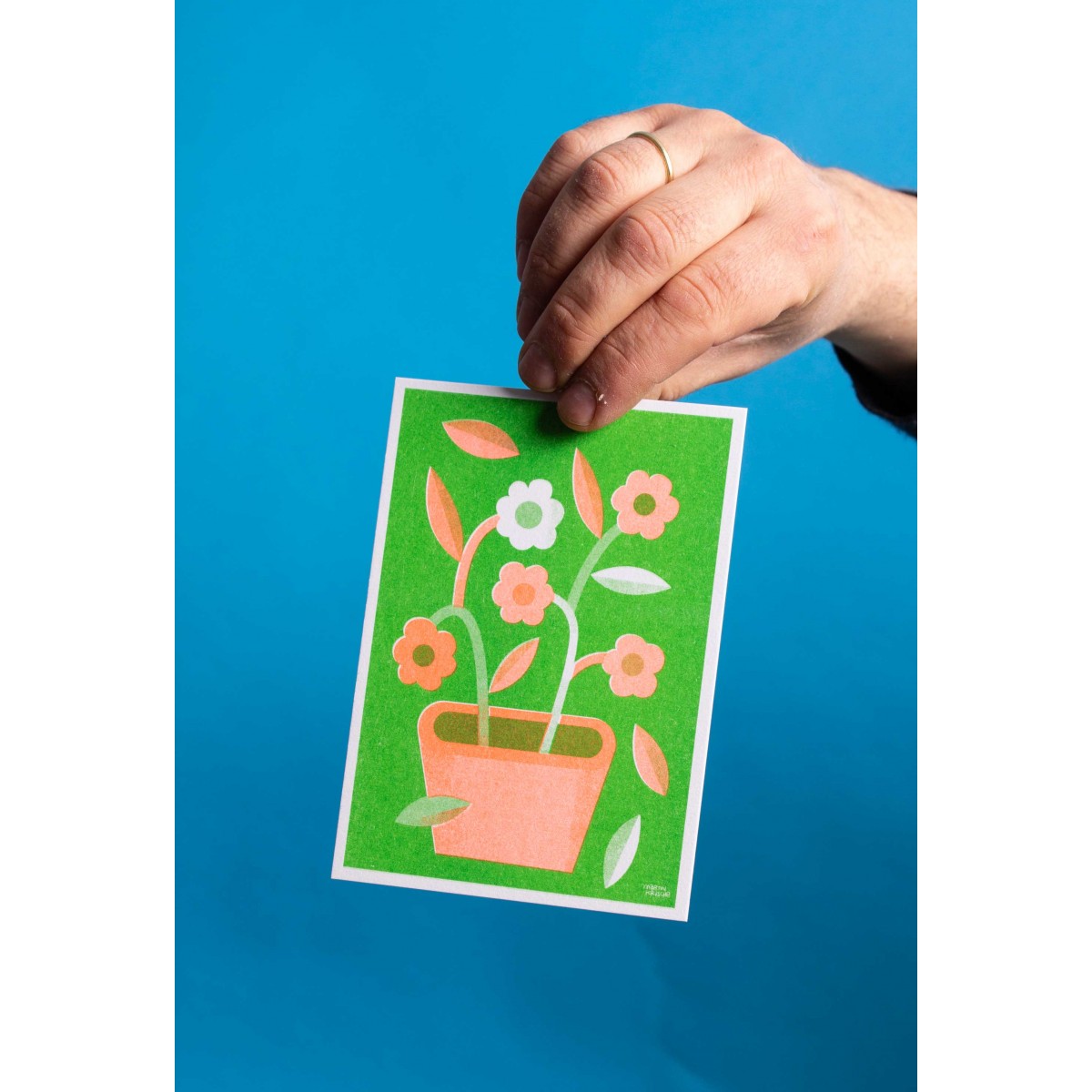 Martin Krusche - Risographie Postkartenset »Blumen«