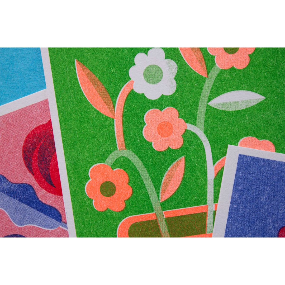 Martin Krusche - Risographie Postkartenset »Blumen«
