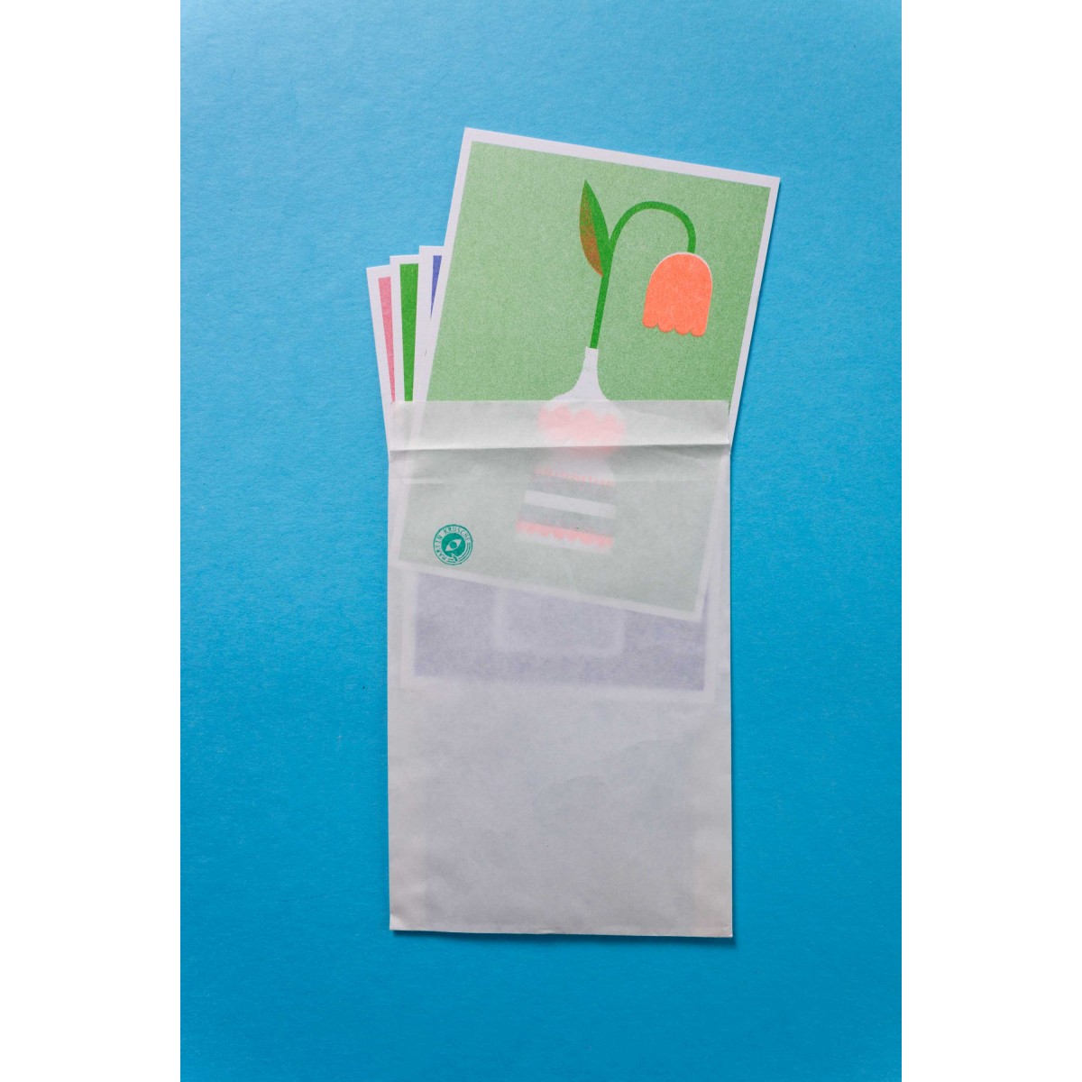 Martin Krusche - Risographie Postkartenset »Blumen«