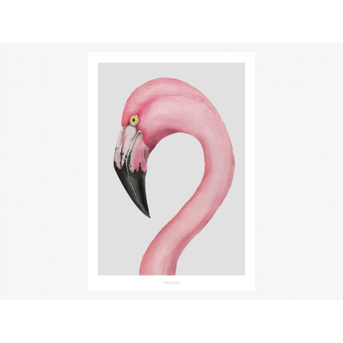 typealive / Flamingo