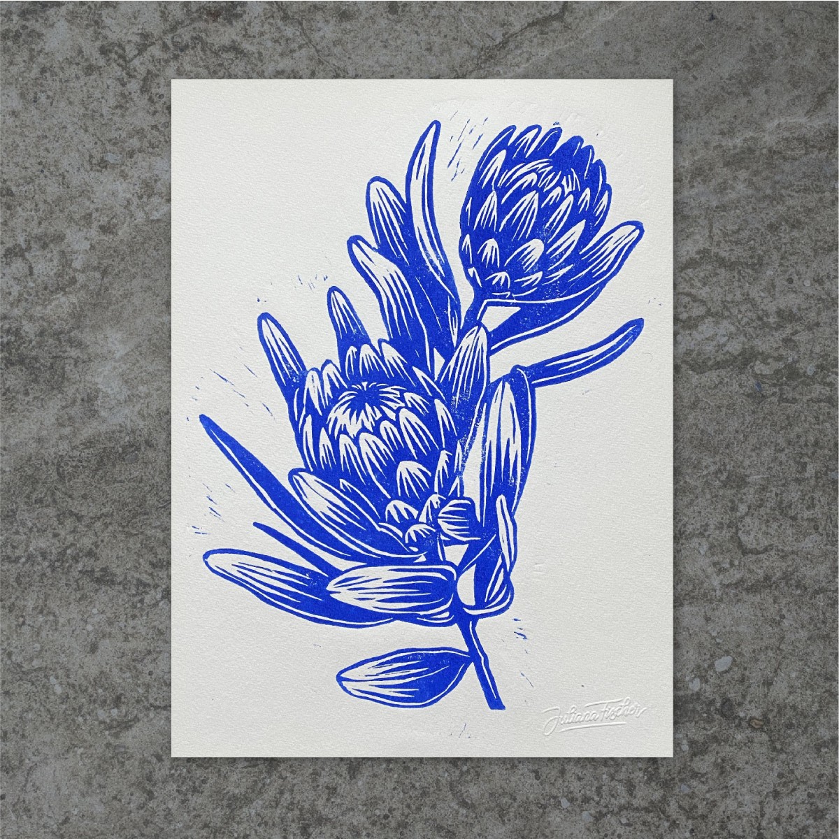 Juliana Fischer - Protea - Linoldruck, ultramarinblau, 22,8 x 30,6 cm