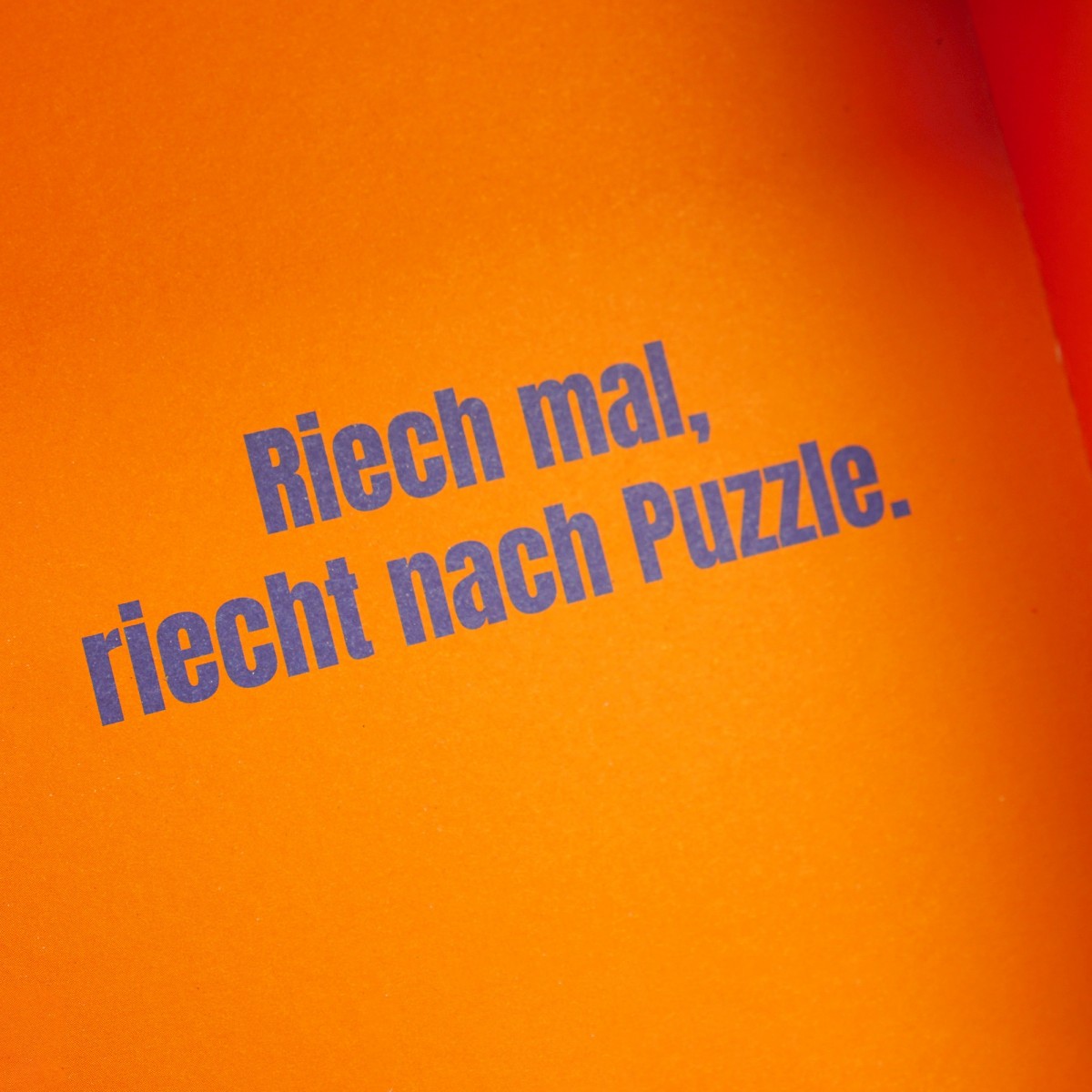 Puzzle „Badelatschen“