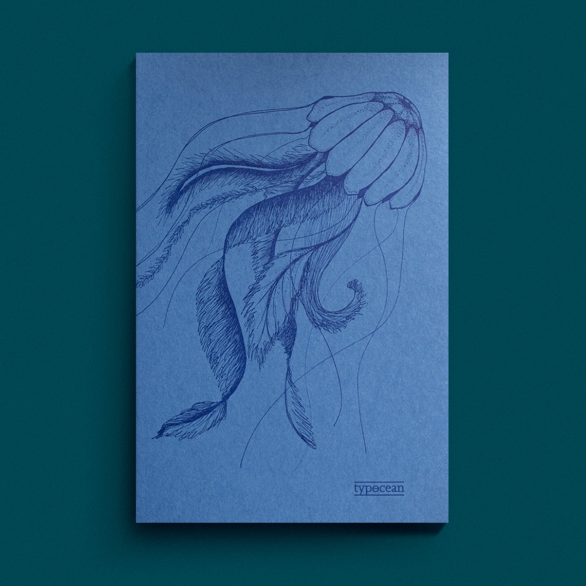 Medusa I Journal ~ typocean ~