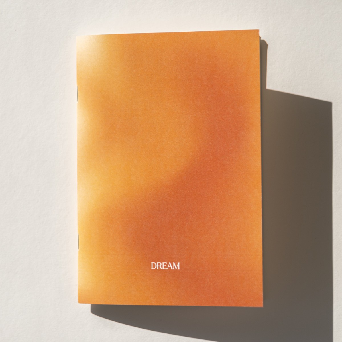 DREAM Journal von REYOUNITE