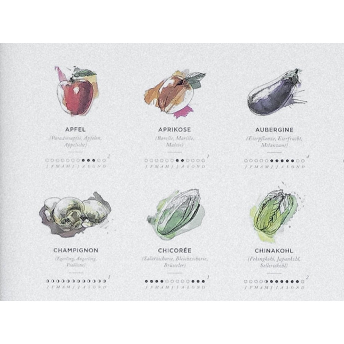 Saisonkalender Obst & Gemüse, Poster/Plakat in Farbe von Kupferstecher.Art
