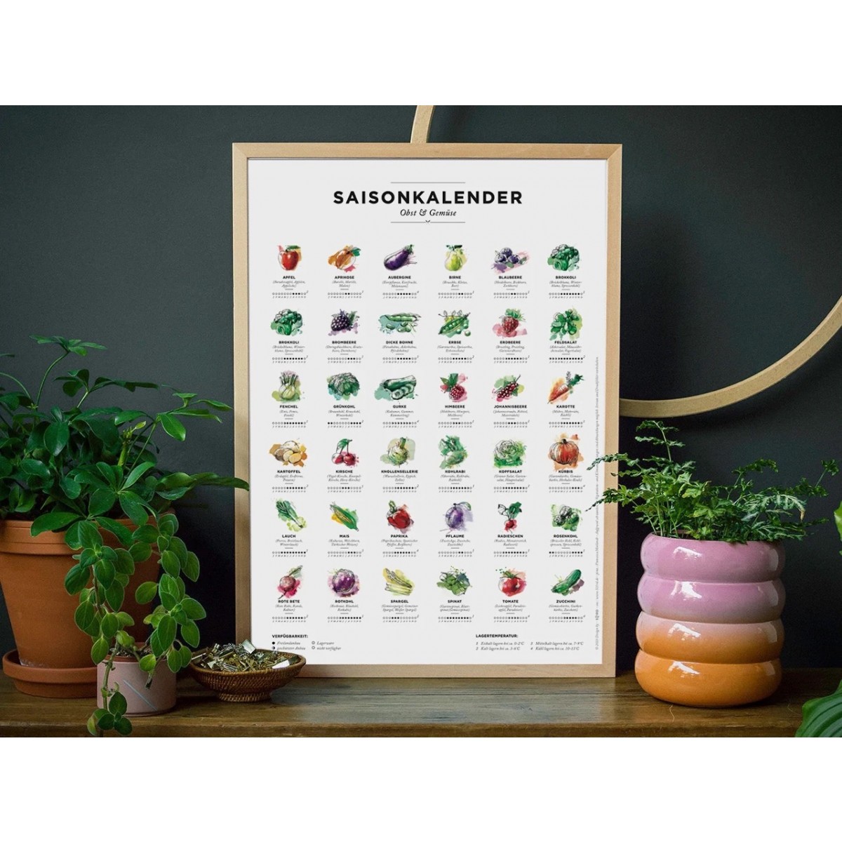 Saisonkalender Obst & Gemüse im Garten – Poster / Plakat in Farbe (ohne Rahmen)