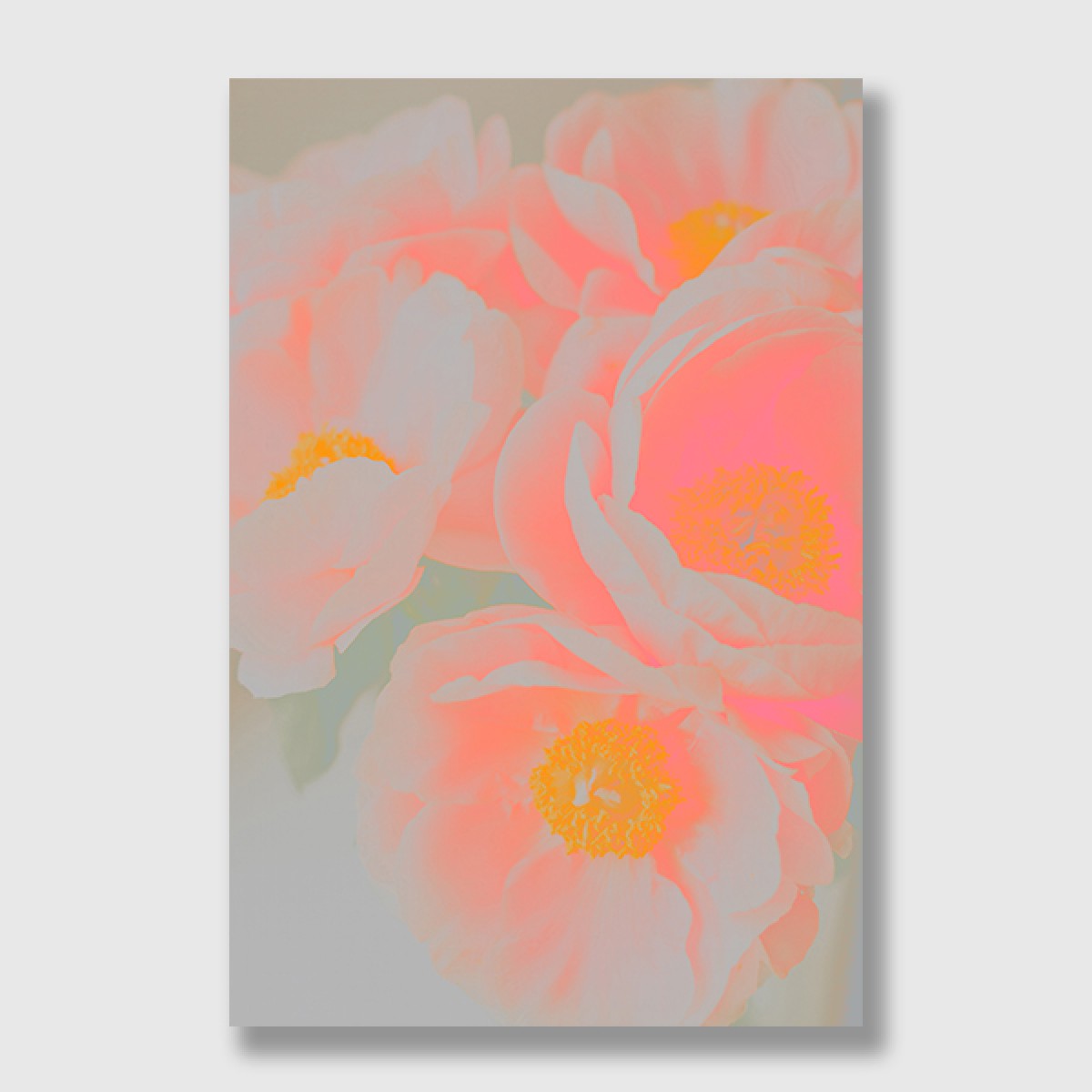 ZEITLOOPS "Peonies", Fineartprint, 40x60 cm