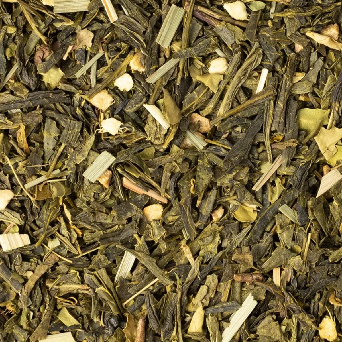 MORINGA MUSE Grüntee mit Ingwer & Zitrone