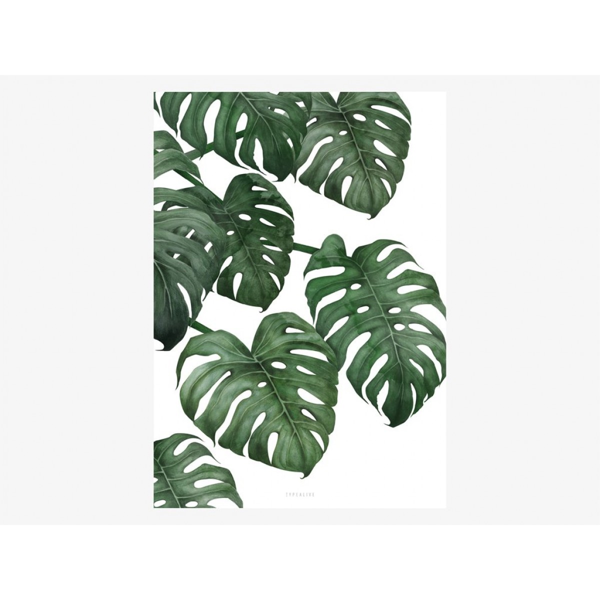 typealive / Tropical No. 6