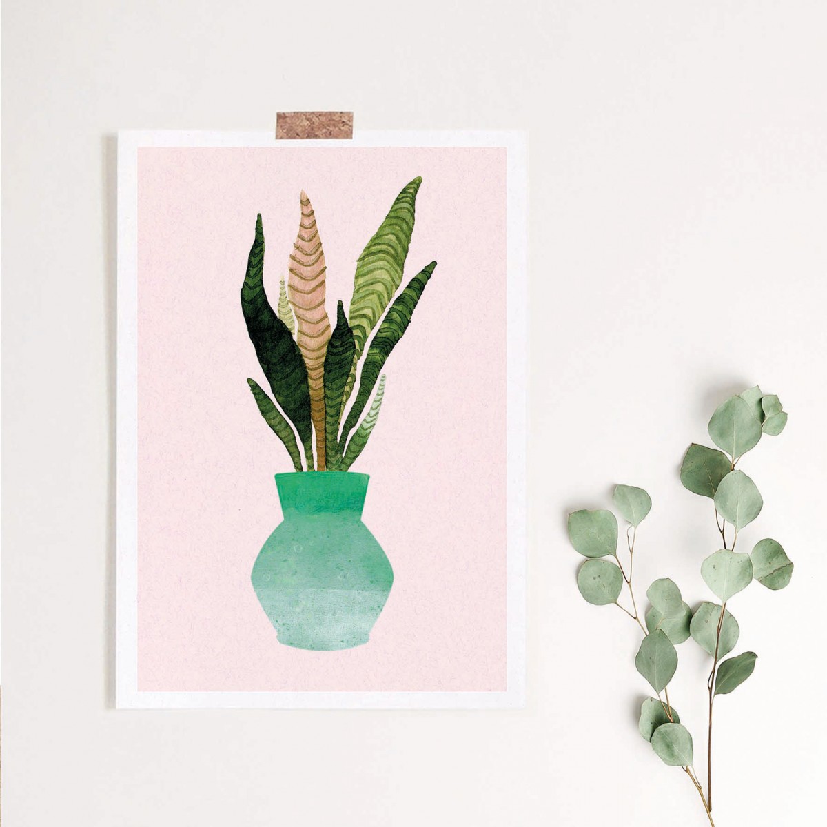 Paperlandscape | Kunstdruck | Zimmerpflanze | Sansevieria | verschiedene Farben