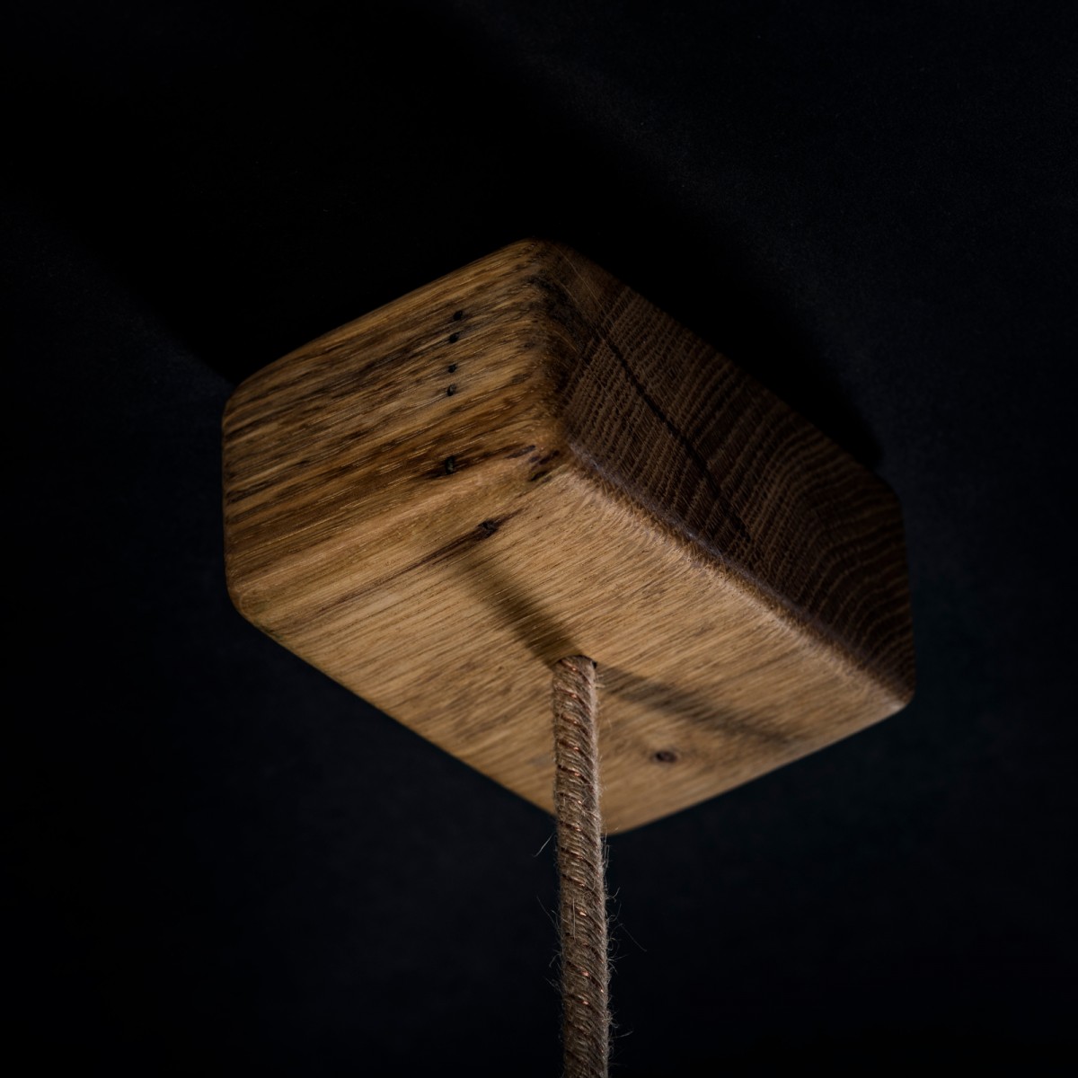 Deckenleuchte "Möwe" aus Eichenholz mit Glühbirne VORONOI von Verschnitt