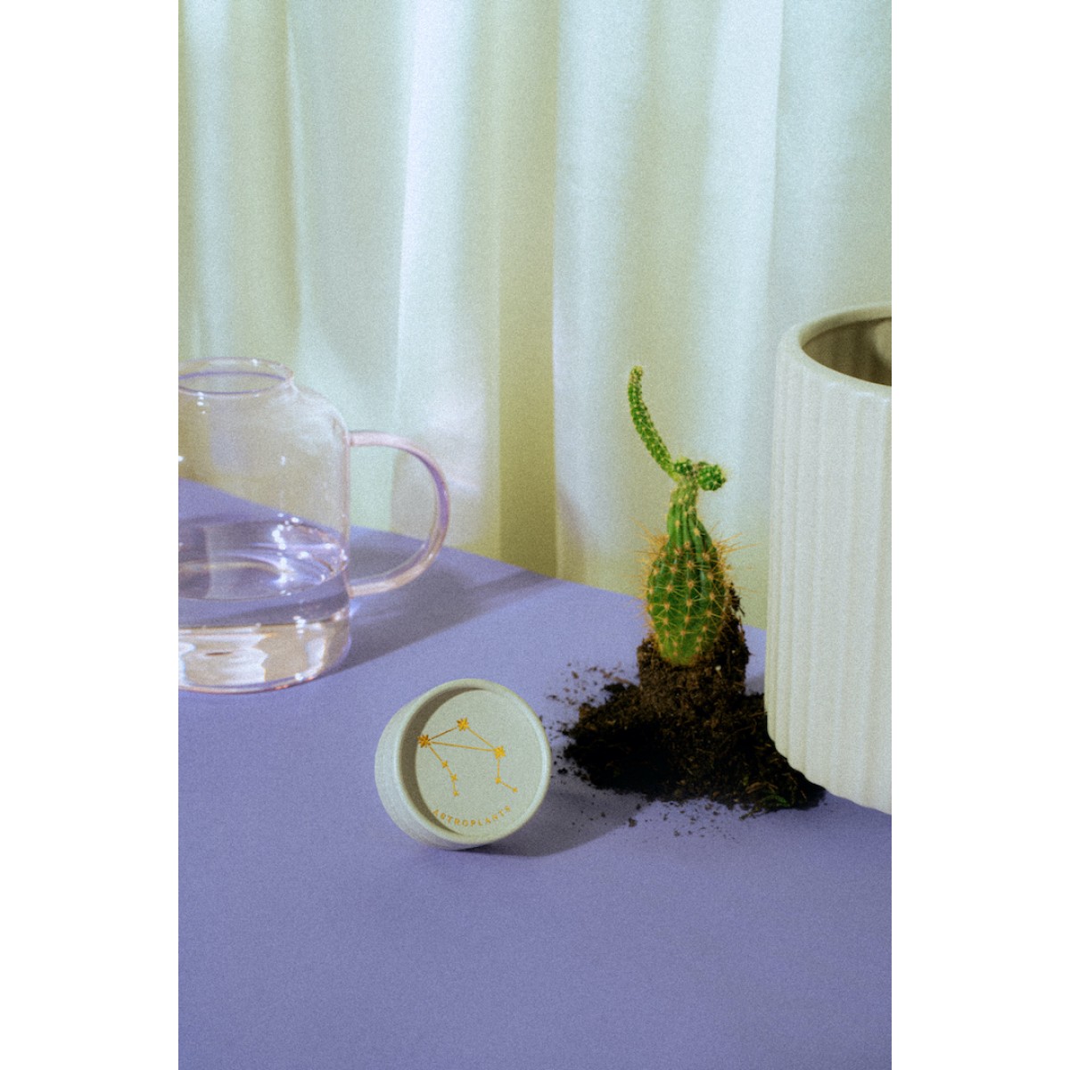 Astroplants - Zwillinge - Pflanzensamen