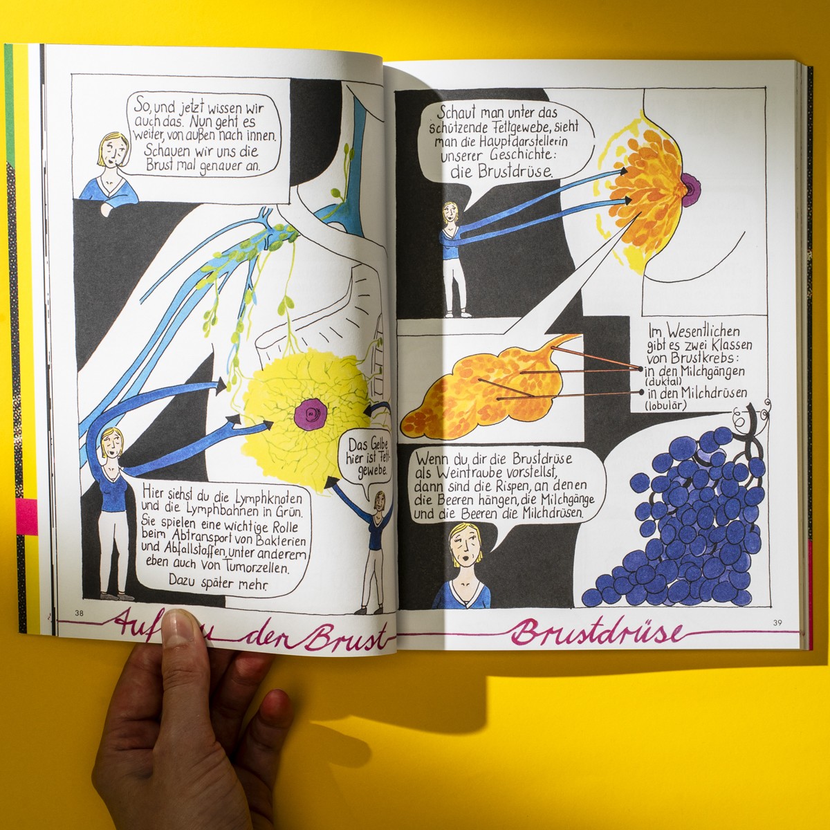 Eine Graphic Novel über Brustkrebs: Das Ende der Unversehrtheit