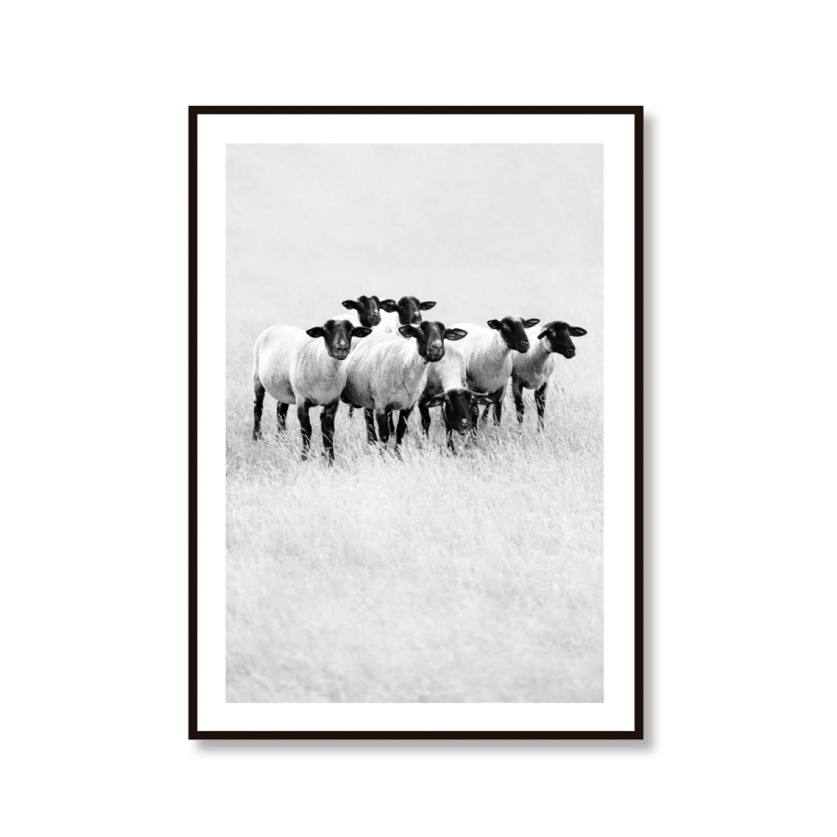 Amy & Kurt Berlin Artprint "Schwarze Schafe"