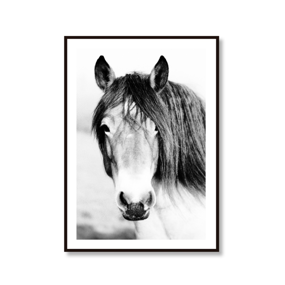 Amy & Kurt Berlin Artprint "Wild Horse"
