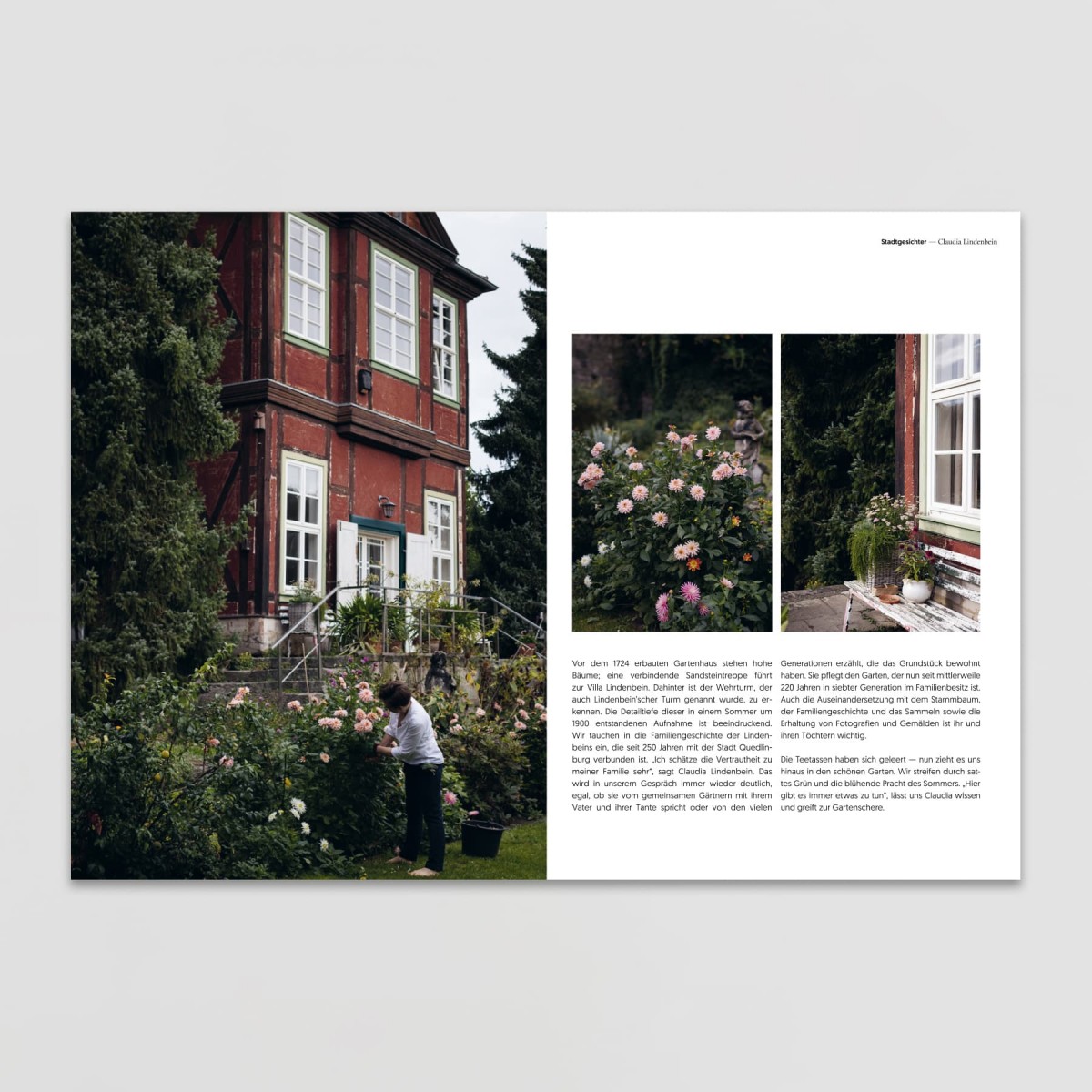 The Quedlinburger – inside & beyond // Edition 1 // Buch (deutsch)
