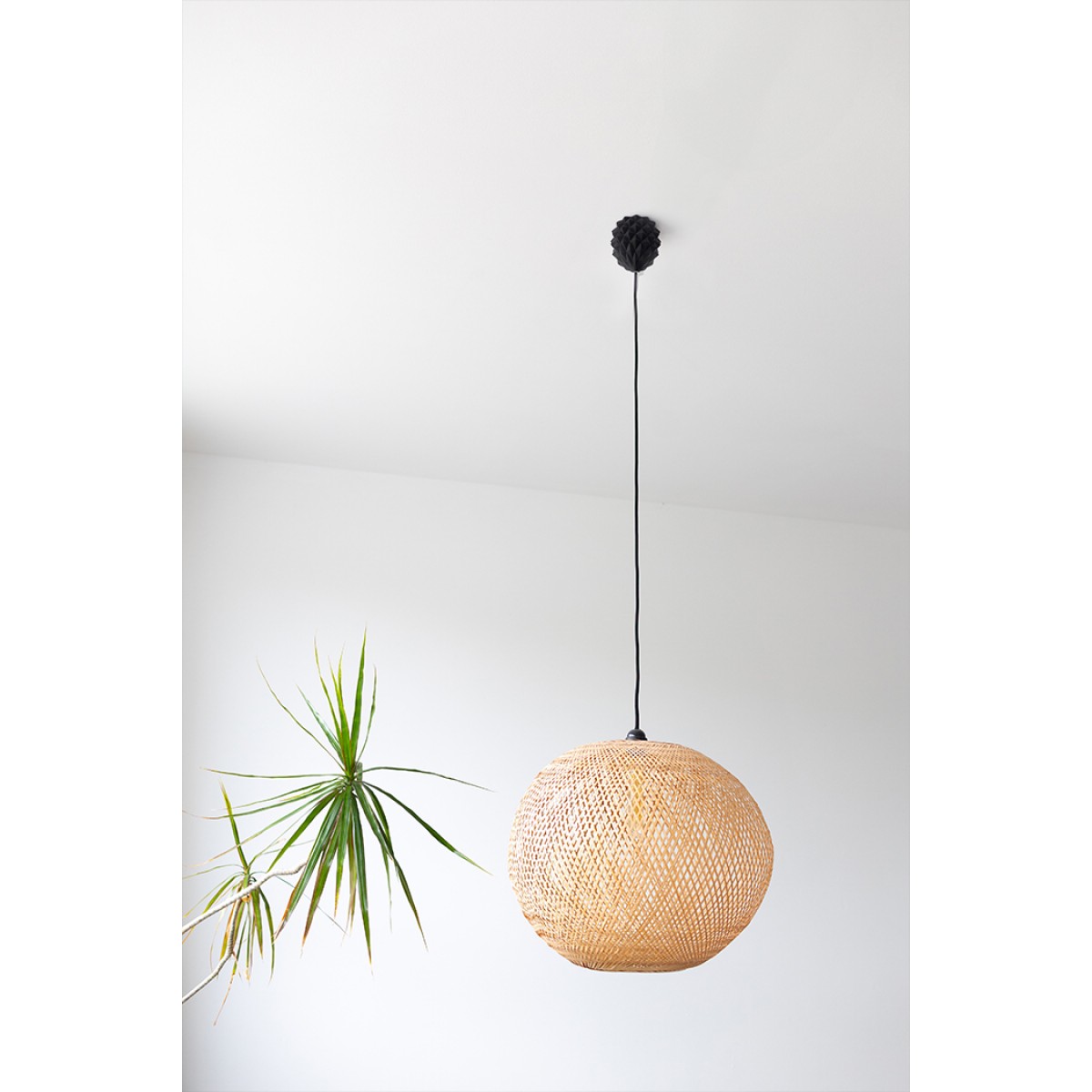 canopie® - Lampenbaldachin – Ananas Gipsweiß