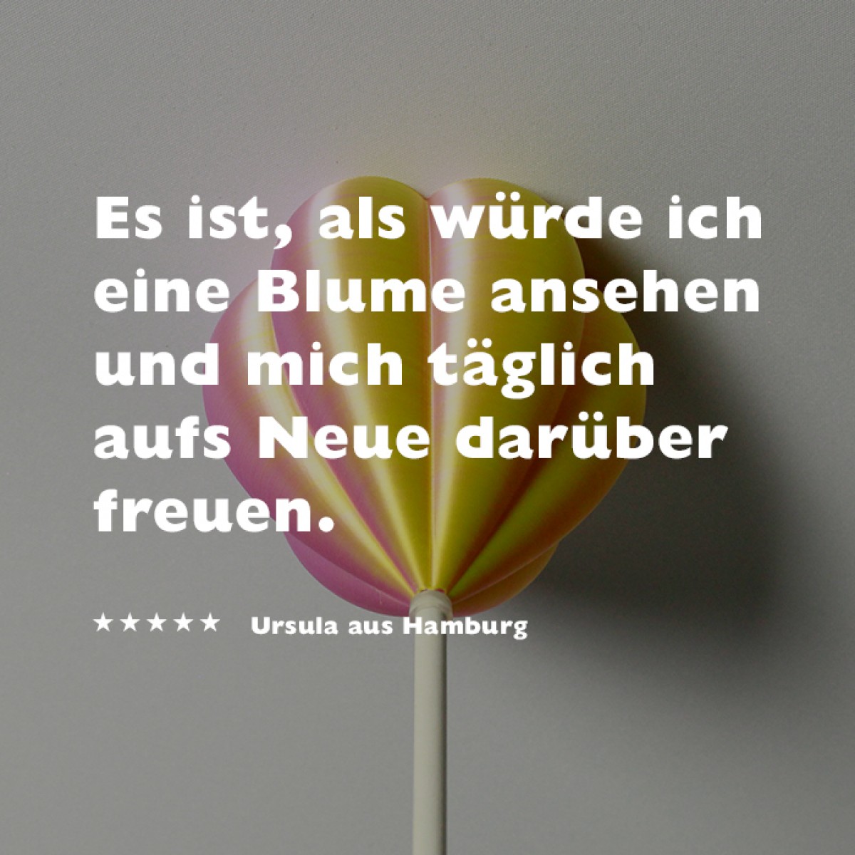 canopie® - Lampenbaldachin – Tulpe Duo Pink-Gelb