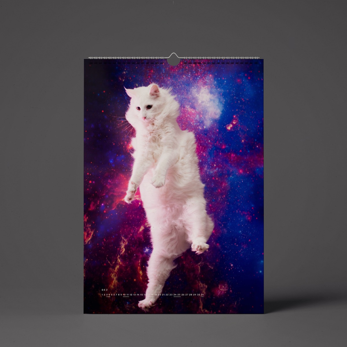 "CATS IN SPACE" Kalender 2022 (Vorbestellung)