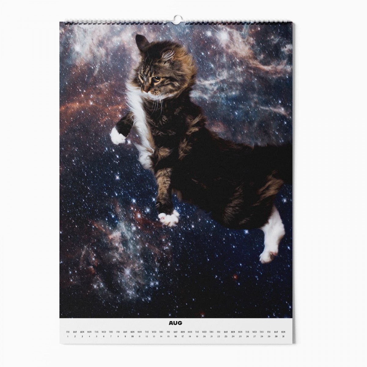 "CATS IN SPACE" Fotokalender 2025
