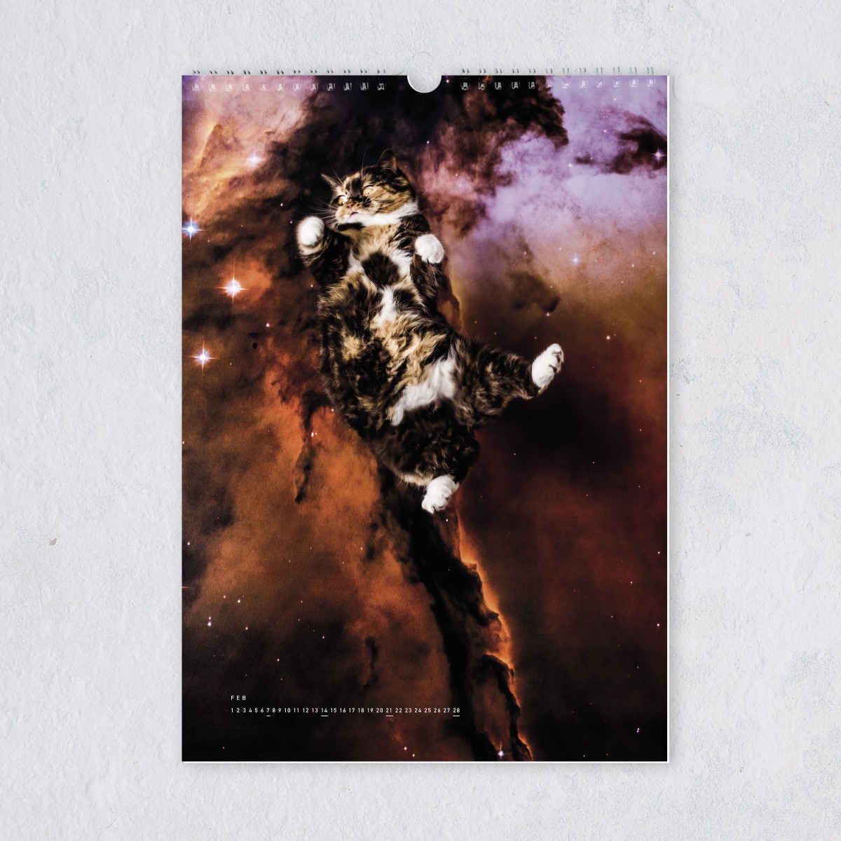 edition ij quot CATS IN SPACE quot Kalender 2021 selekkt com
