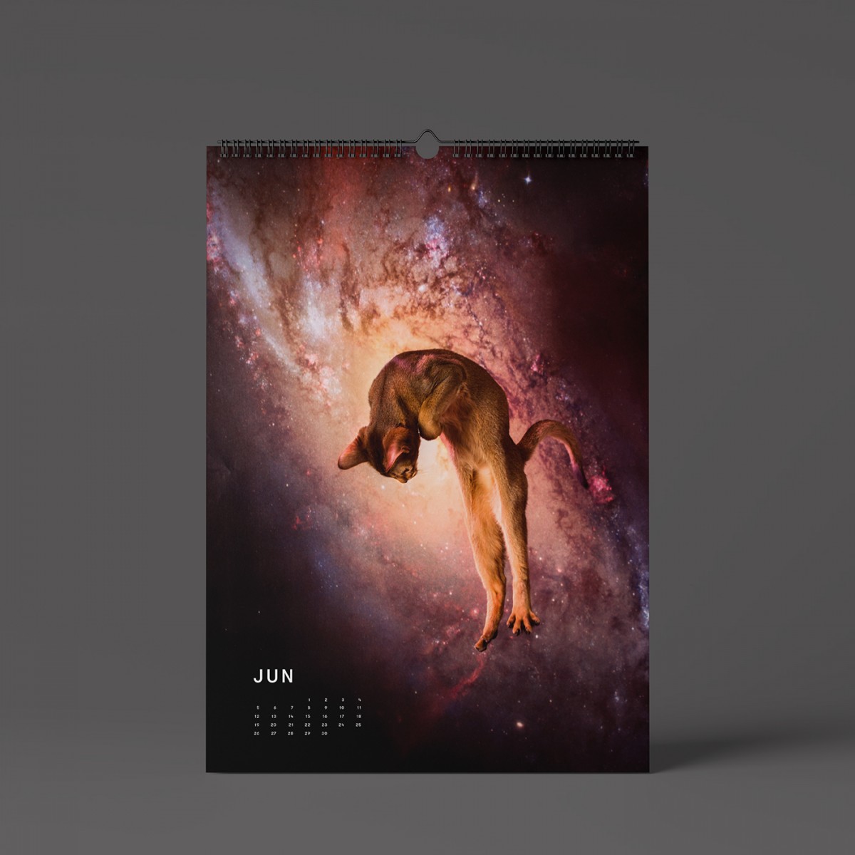 "CATS IN SPACE" Fotokalender 2023