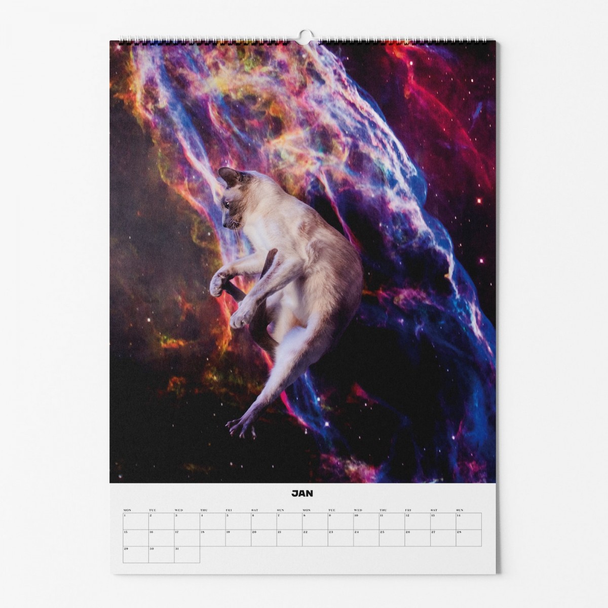 "CATS IN SPACE" Fotokalender 2024