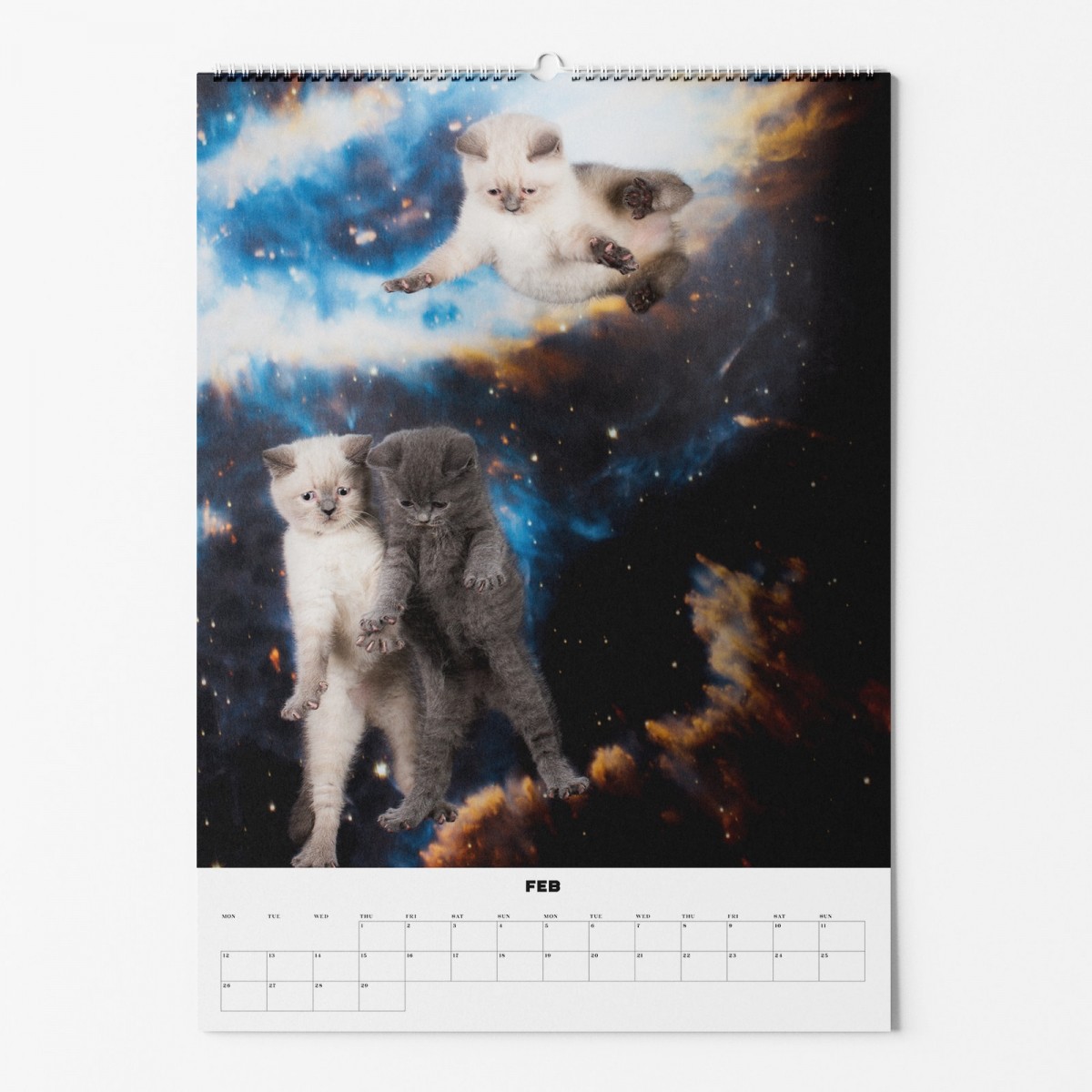 "CATS IN SPACE" Fotokalender 2024