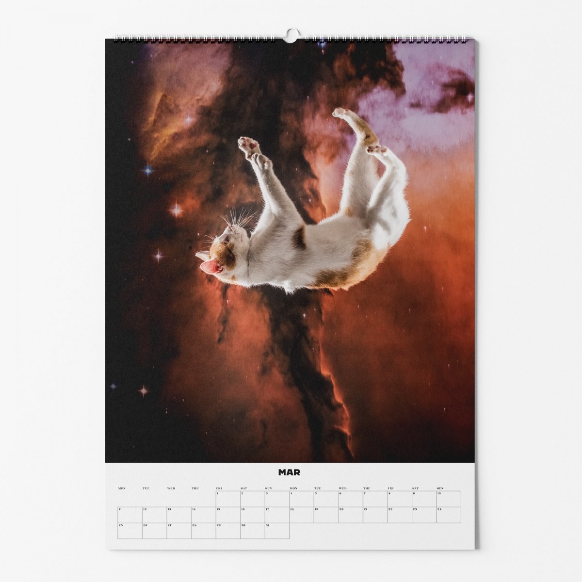 "CATS IN SPACE" Fotokalender 2024