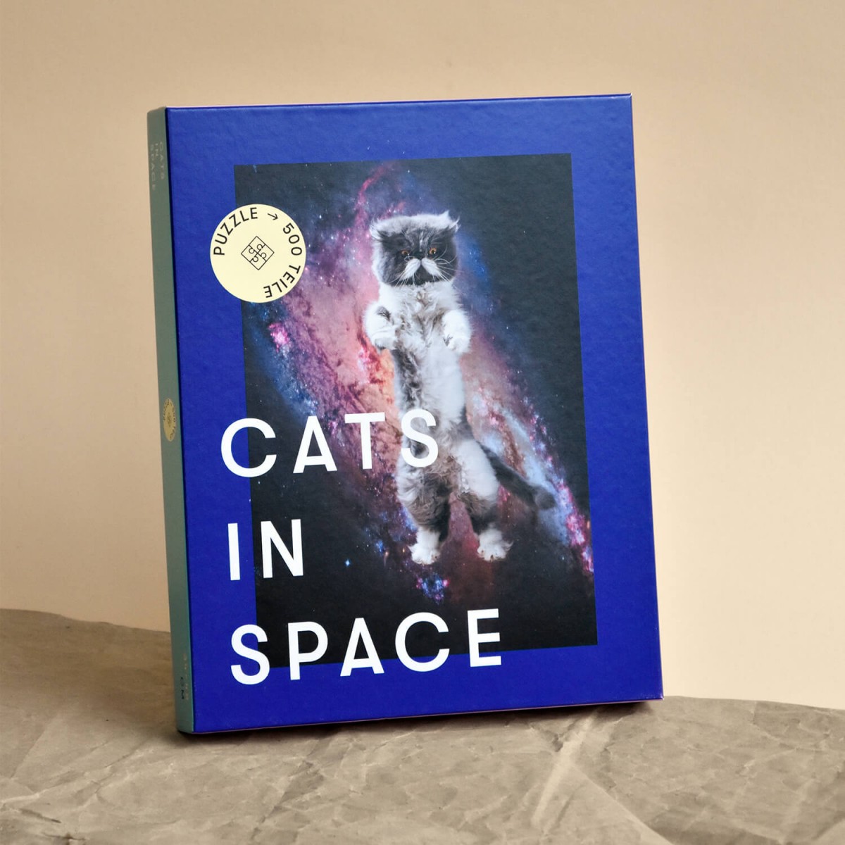 "CATS IN SPACE" Puzzle #1