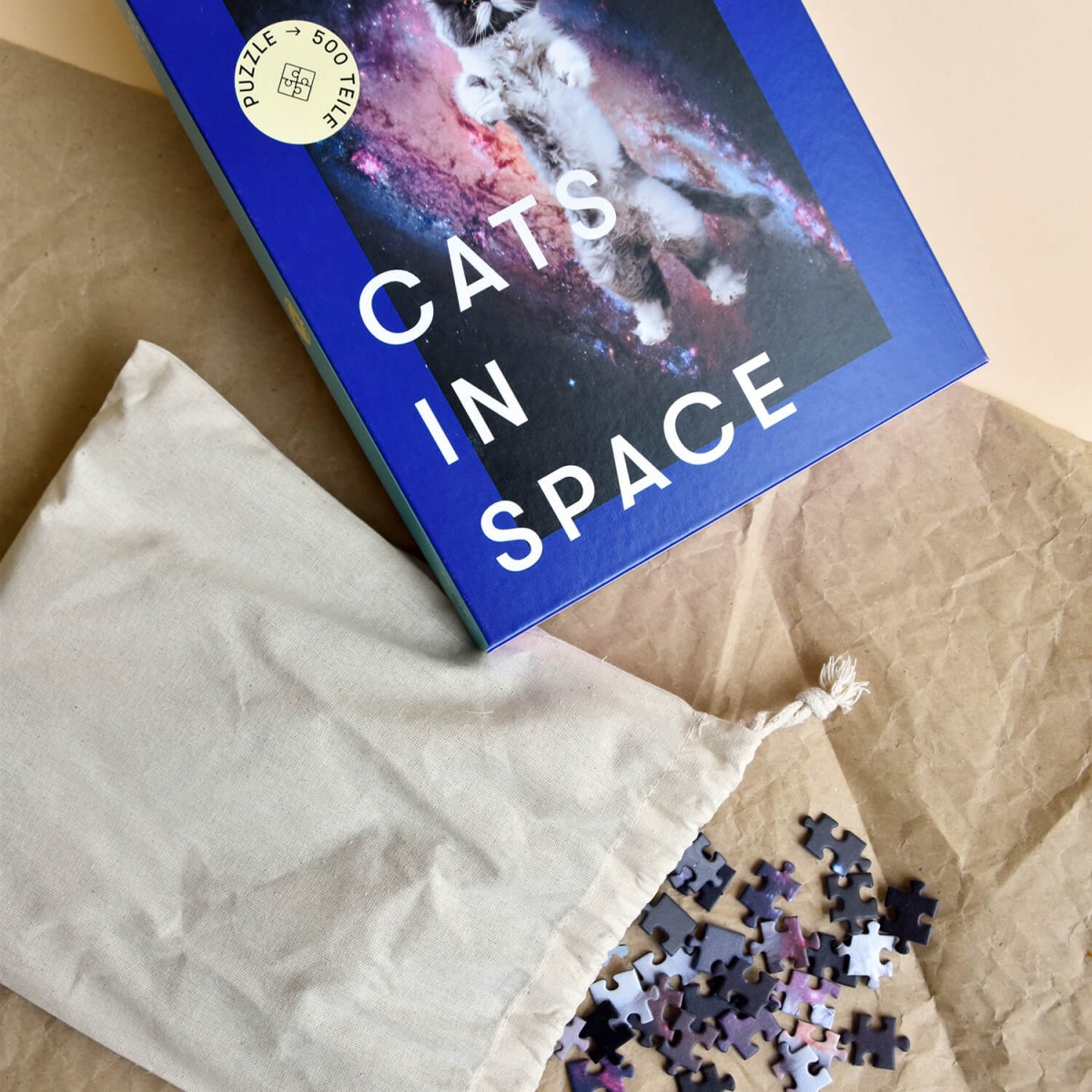 "CATS IN SPACE" Puzzle #1