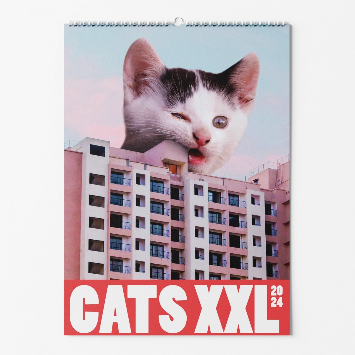 "CATS XXL" Fotokalender 2024