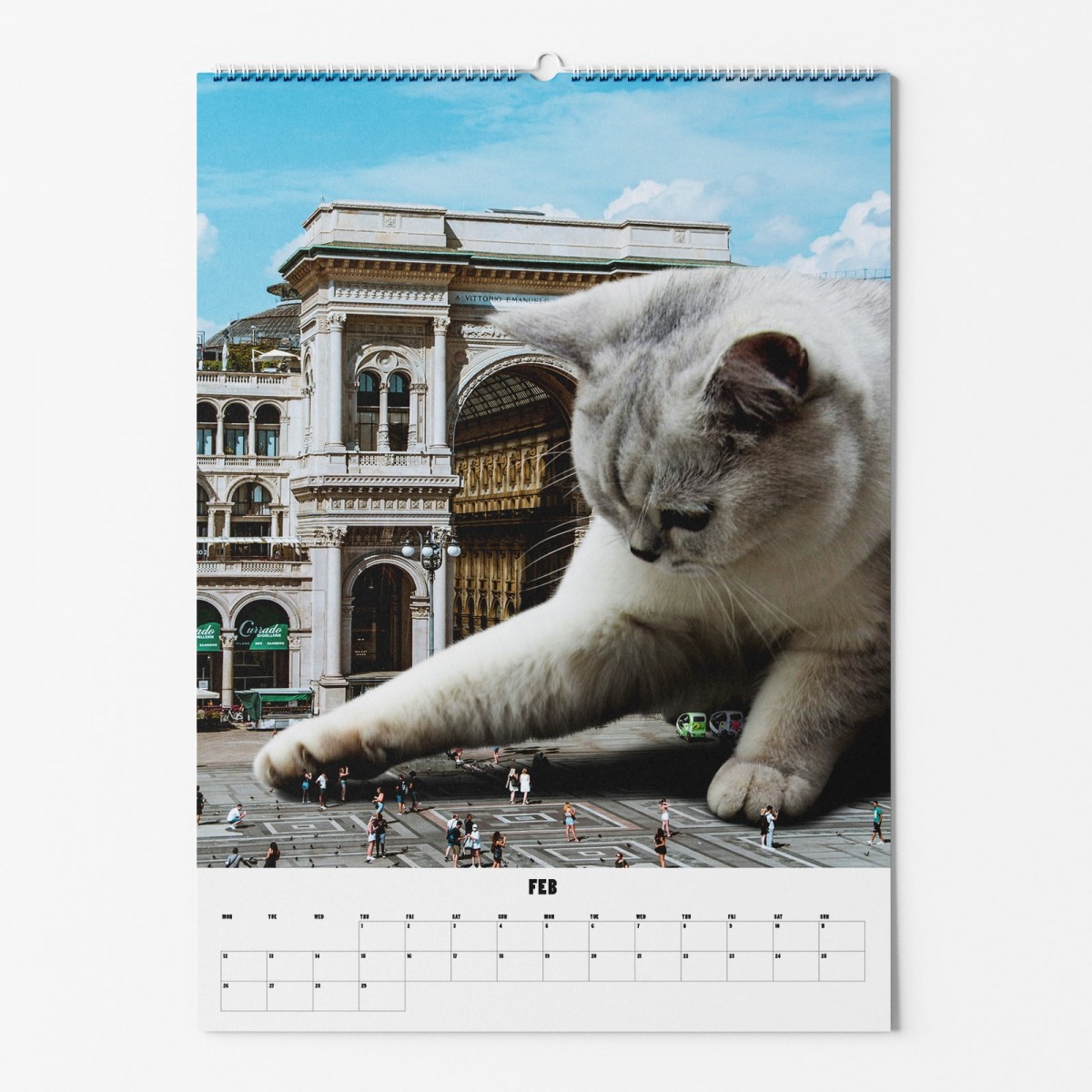 "CATS XXL" Fotokalender 2024