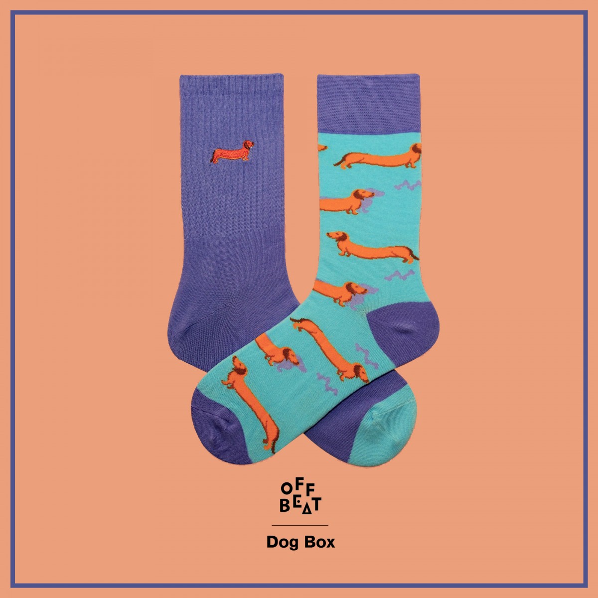 Dog Box, Geschenk-Box von Offbeat