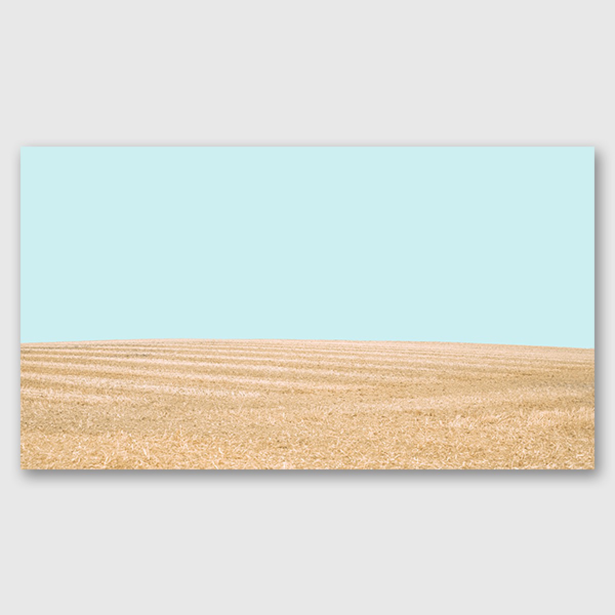 ZEITLOOPS "Fields of Gold", Posterprint, 27x48 cm