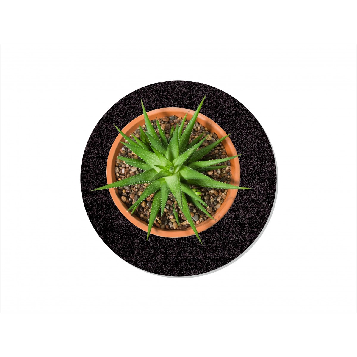 Keilbach Blumentopfunterlage flora-s  25cm