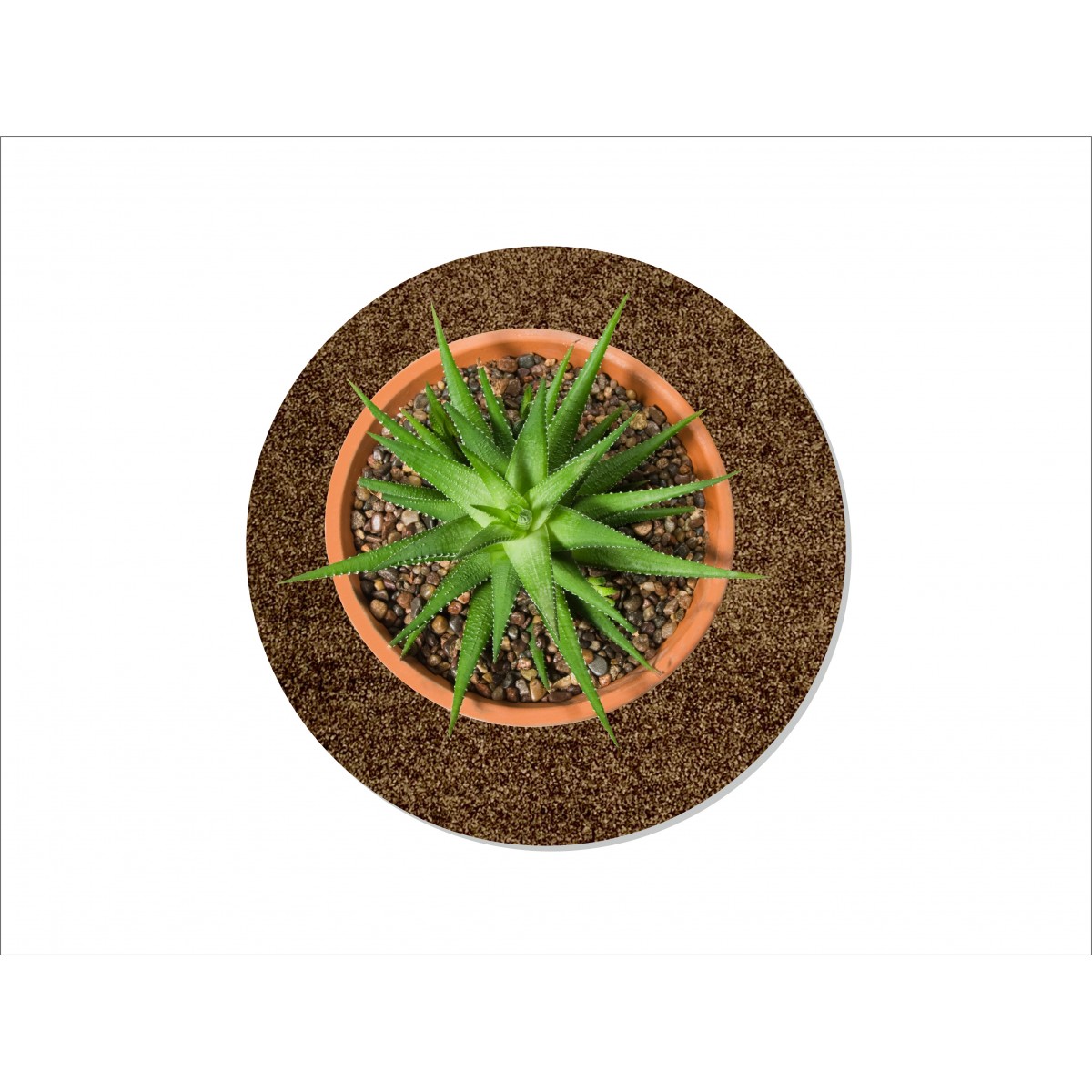 Keilbach Blumentopfunterlage flora-l, Ø 40cm, nur 9mm dick, schützt empfindliche Böden Keilbach Blumentopfunterlage flora-l, Ø 40cm, nur 9mm dick, schützt empfindliche Böden