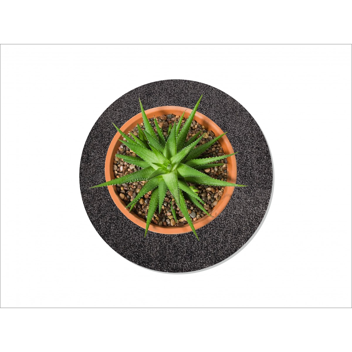 Keilbach Blumentopfunterlage flora-s  25cm