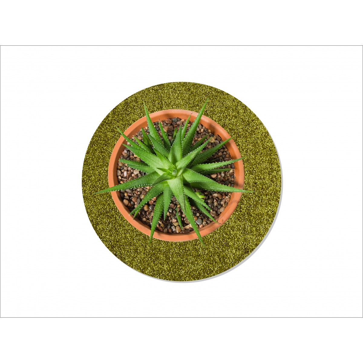 Keilbach Blumentopfunterlage flora-s  25cm