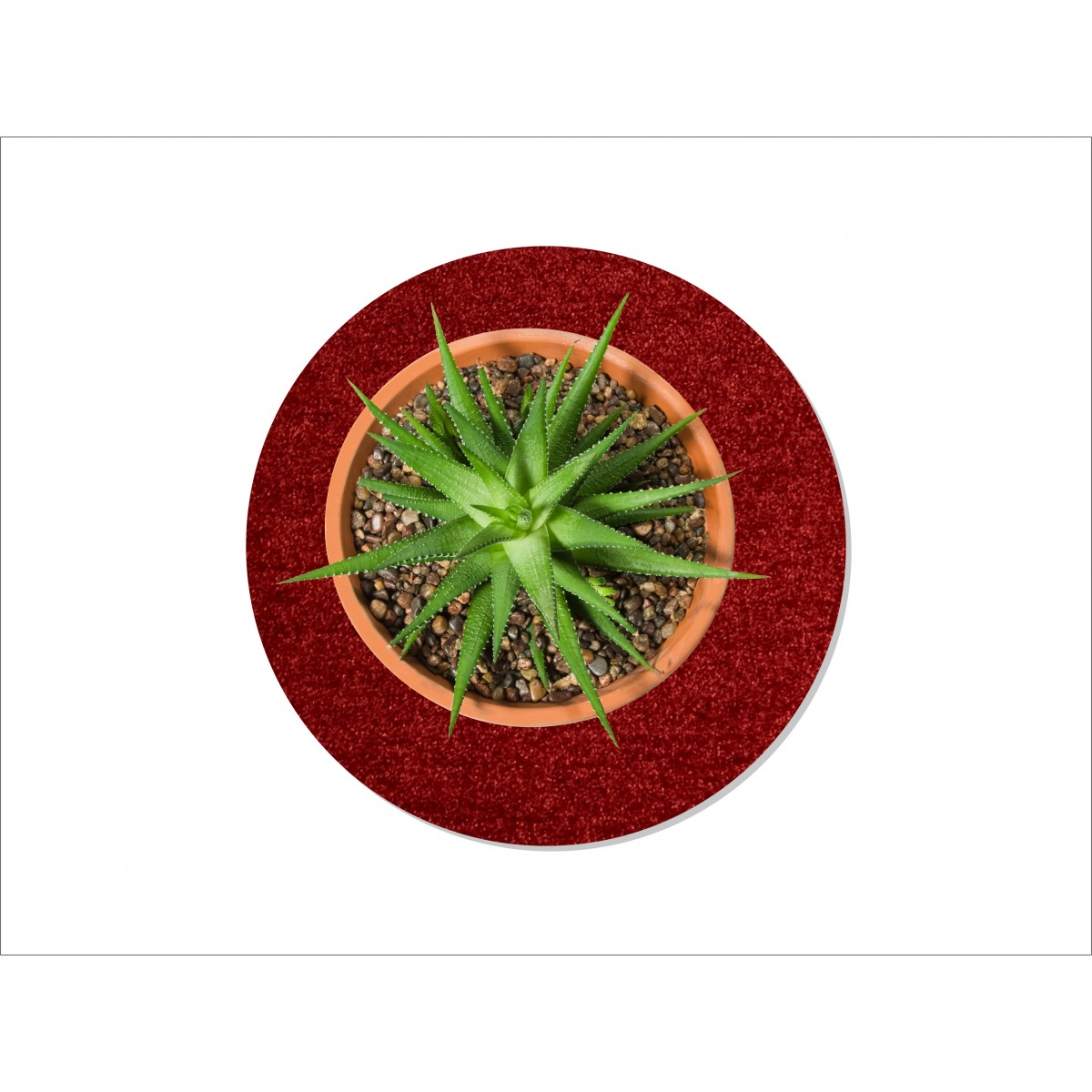 Keilbach Blumentopfunterlage flora-s  25cm