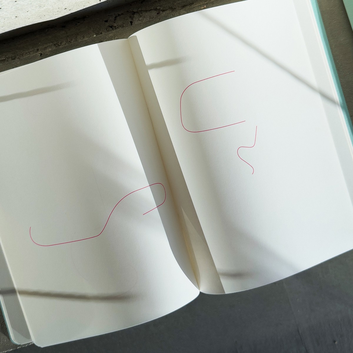 Iconic Lines Notizbuch – Edition Julie Joliat