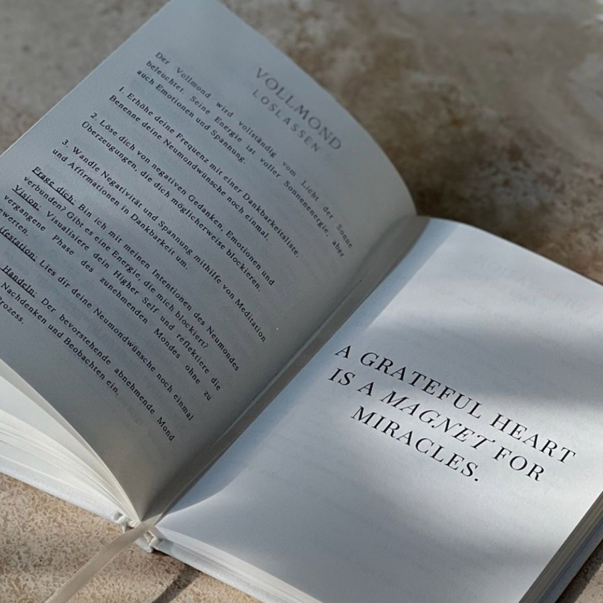 The Life Barn Manifestation Journal (deutsch)