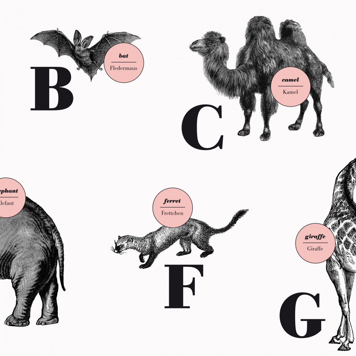 
Poster, ABC der Säugetiere / alphabet of mammals in Deutsch/Englisch, DIN A1